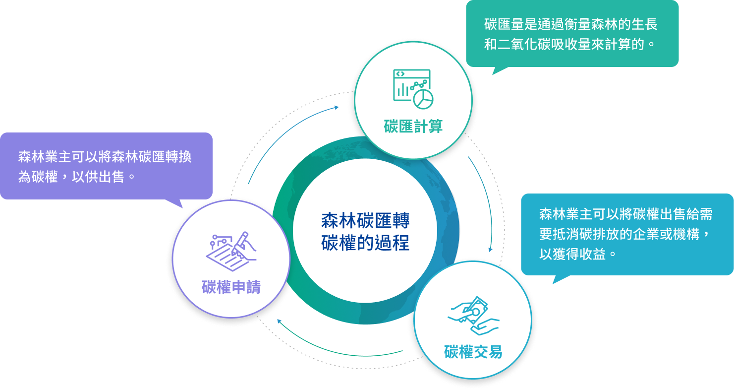 森林碳匯轉碳權的過程